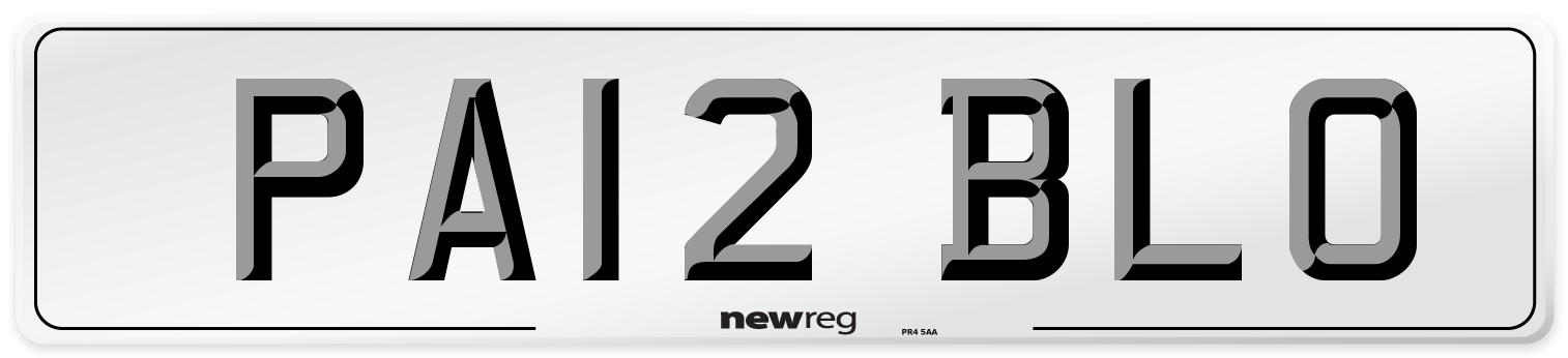 PA12 BLO Front Number Plate