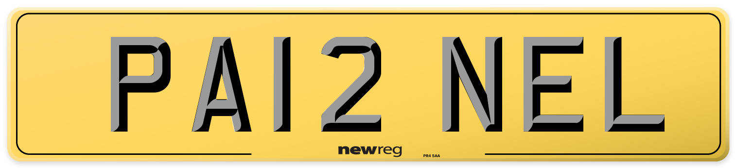 PA12 NEL Rear Number Plate