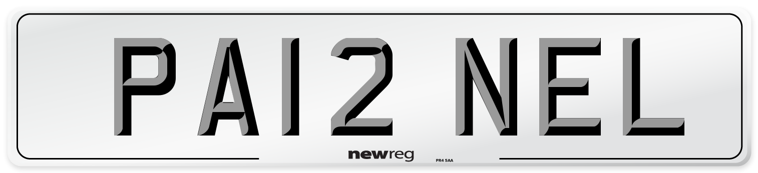 PA12 NEL Front Number Plate