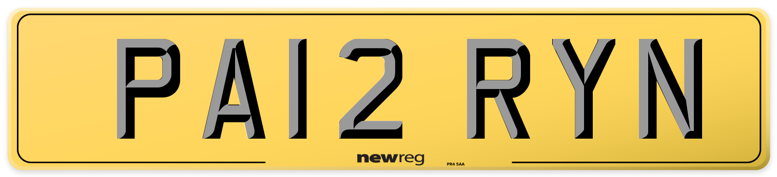 PA12 RYN Rear Number Plate