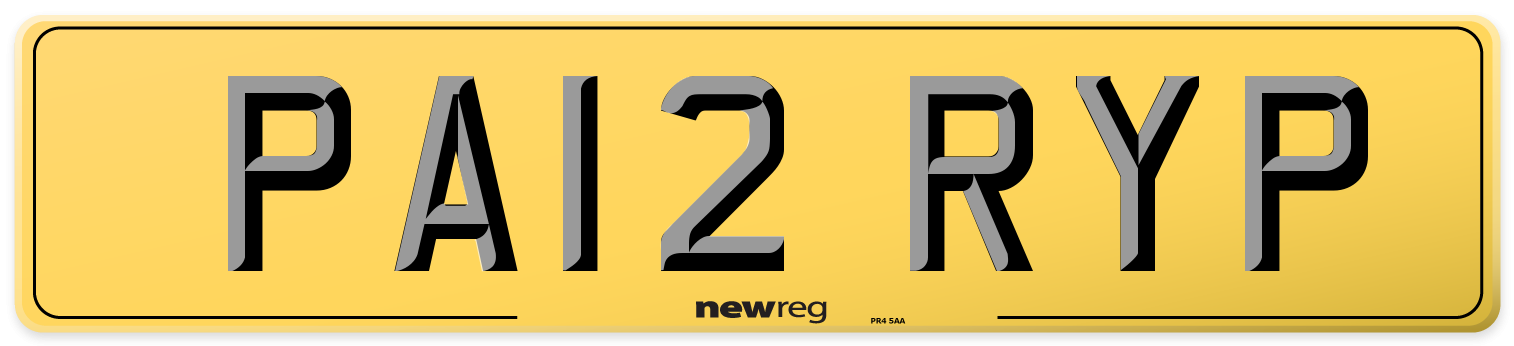 PA12 RYP Rear Number Plate