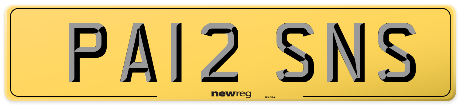 PA12 SNS Rear Number Plate