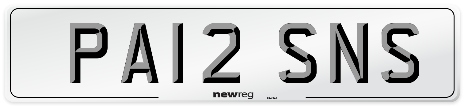 PA12 SNS Front Number Plate
