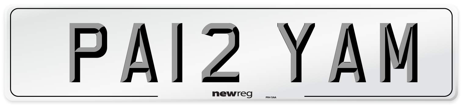 PA12 YAM Front Number Plate