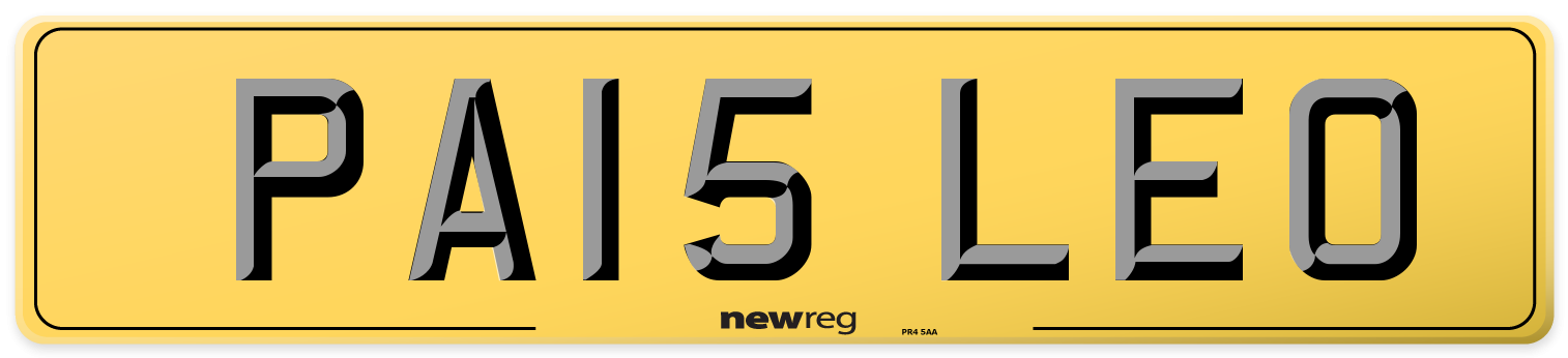 PA15 LEO Rear Number Plate