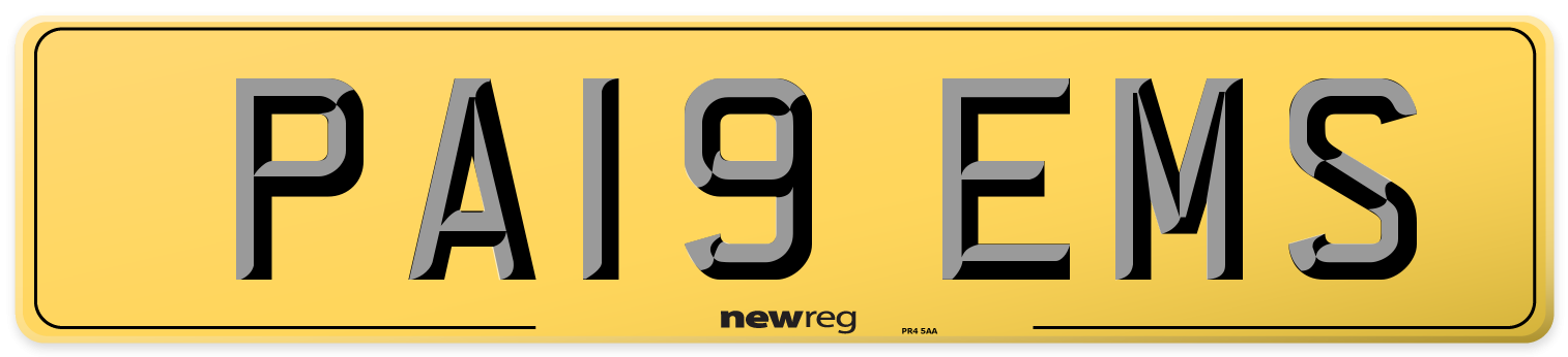 PA19 EMS Rear Number Plate