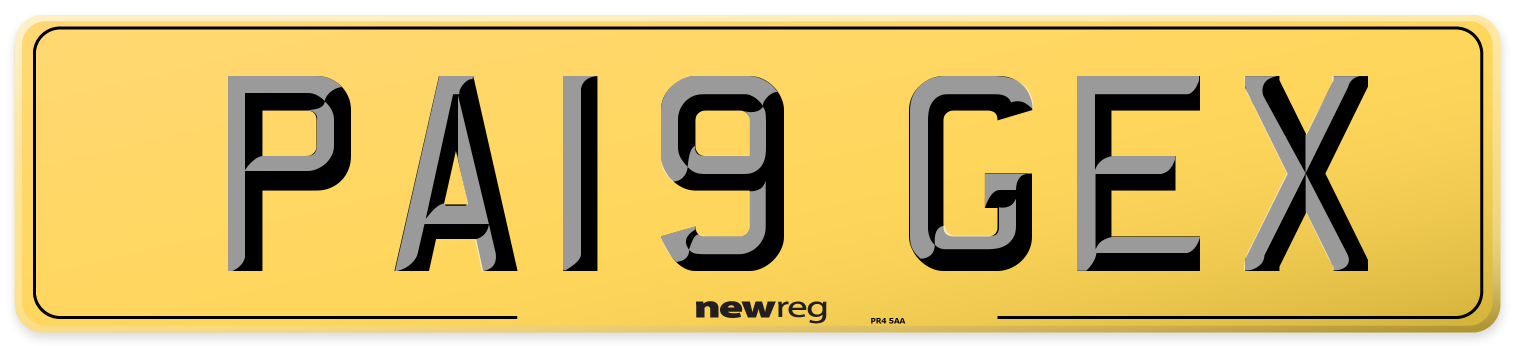 PA19 GEX Rear Number Plate