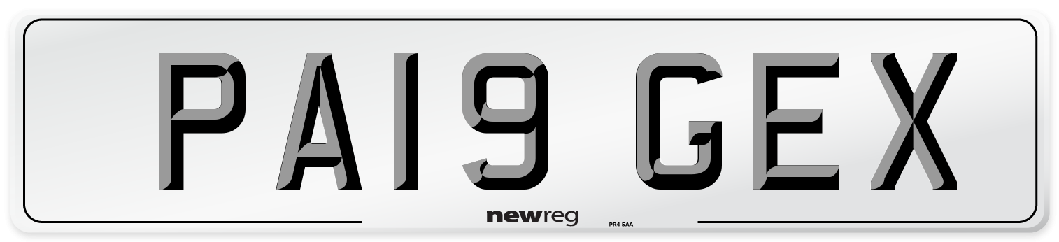 PA19 GEX Front Number Plate