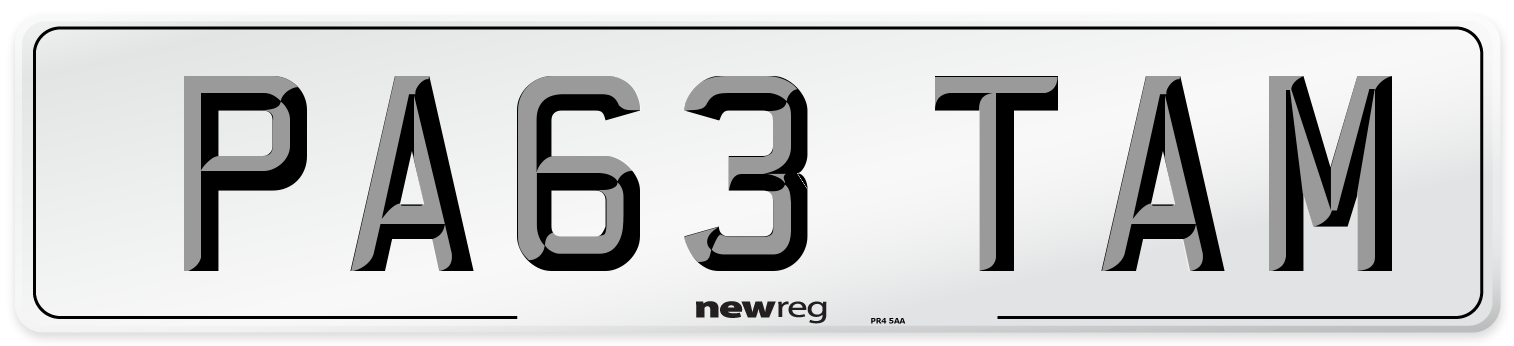 PA63 TAM Front Number Plate