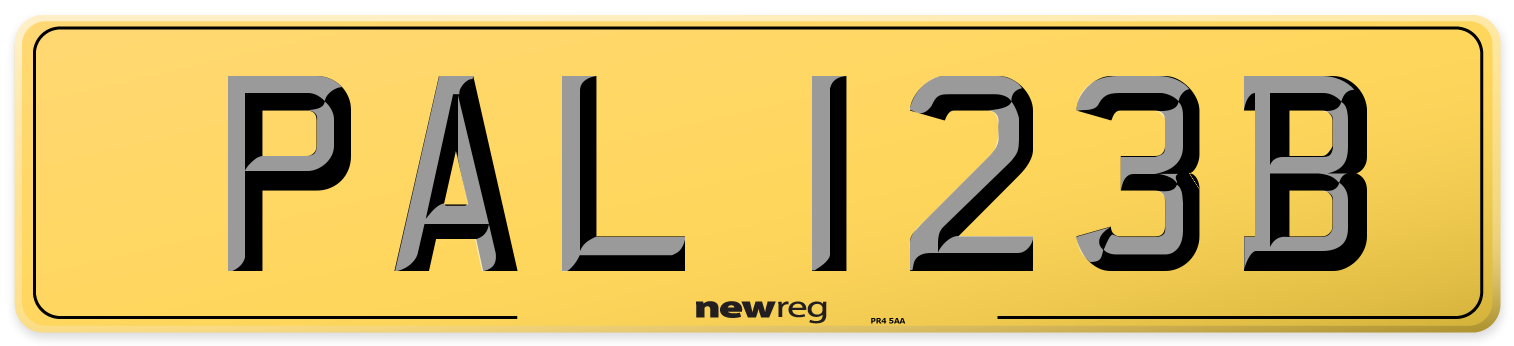 PAL 123B Rear Number Plate