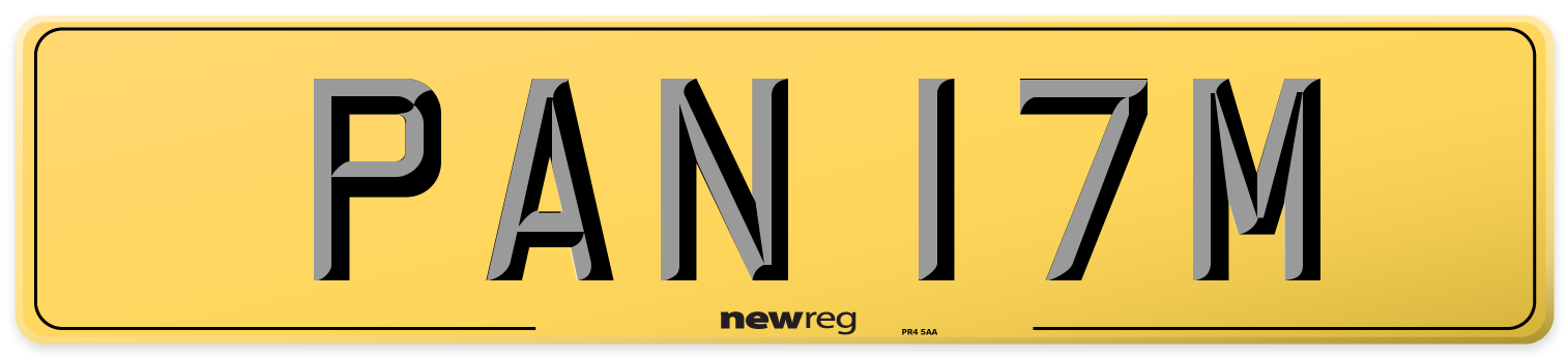 PAN 17M Rear Number Plate