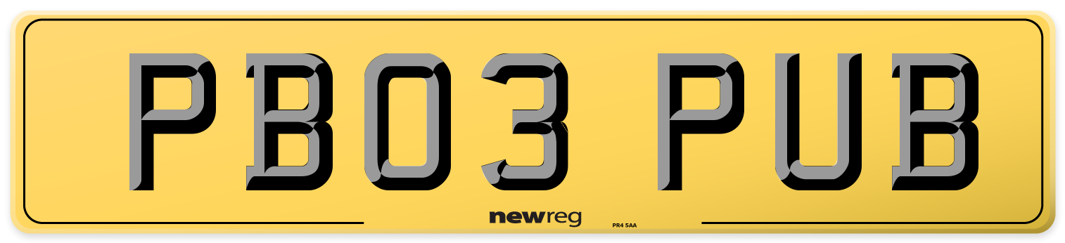 PB03 PUB Rear Number Plate