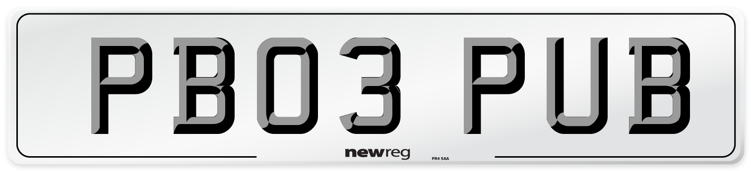 PB03 PUB Front Number Plate