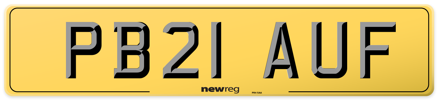 PB21 AUF Rear Number Plate
