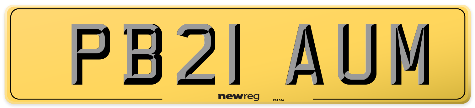 PB21 AUM Rear Number Plate