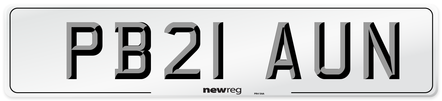 PB21 AUN Front Number Plate