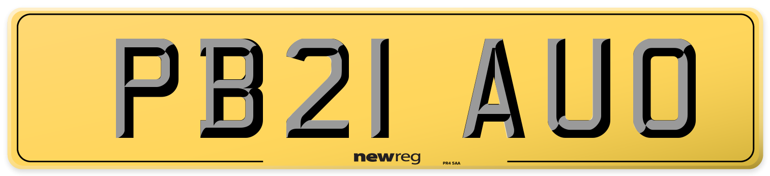 PB21 AUO Rear Number Plate