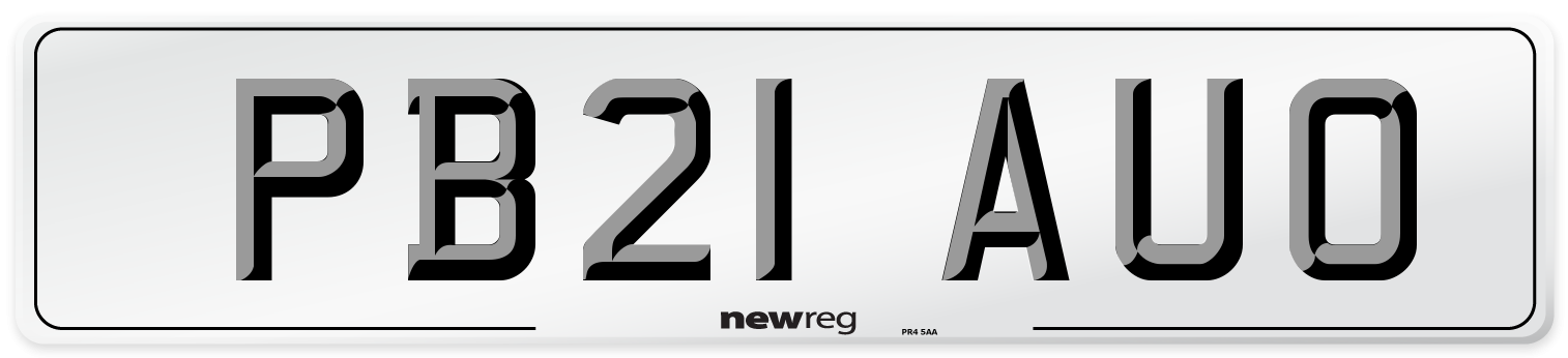 PB21 AUO Front Number Plate