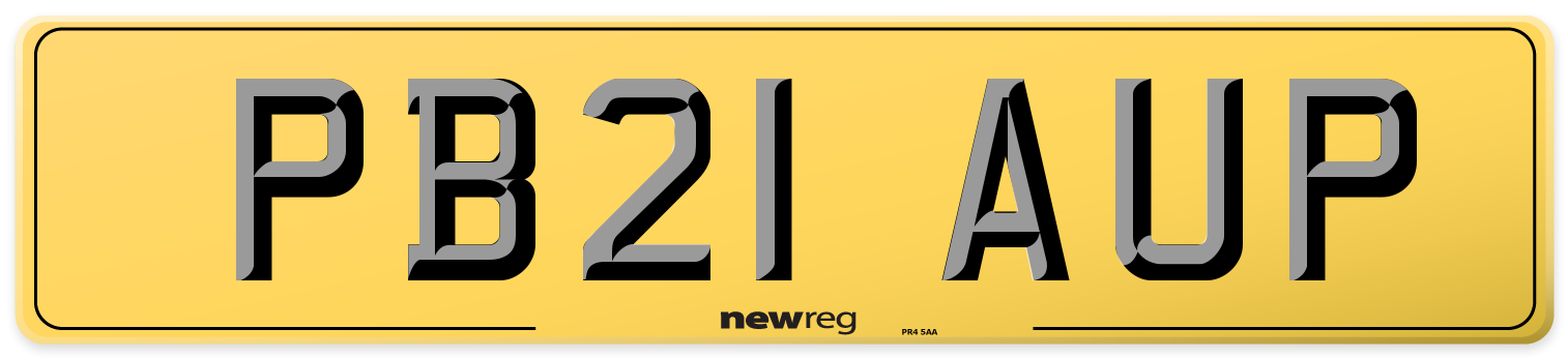 PB21 AUP Rear Number Plate