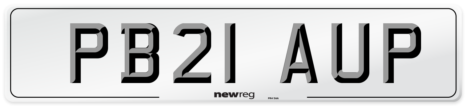 PB21 AUP Front Number Plate