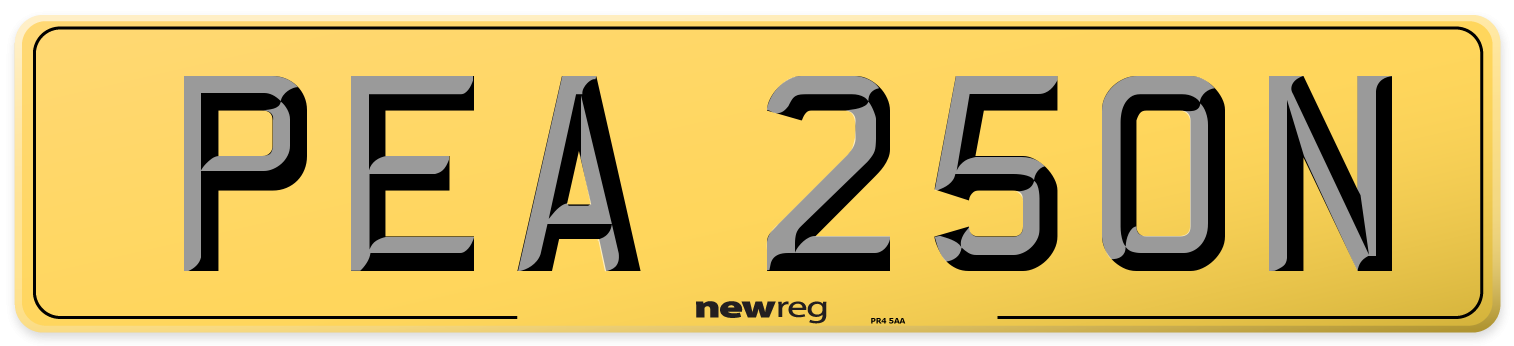 PEA 250N Rear Number Plate