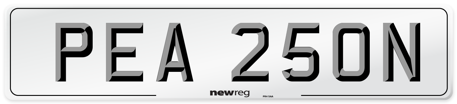 PEA 250N Front Number Plate