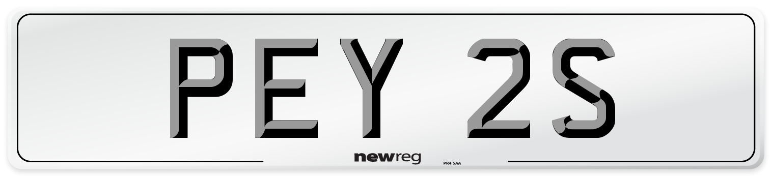 PEY 2S Front Number Plate