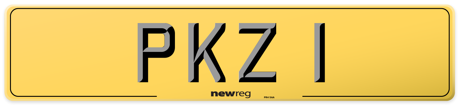 PKZ 1 Rear Number Plate