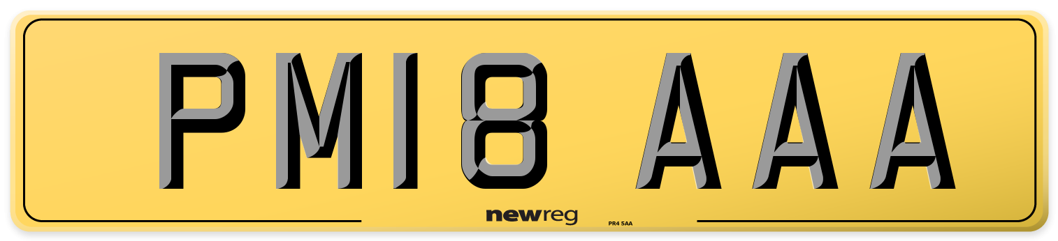 PM18 AAA Rear Number Plate