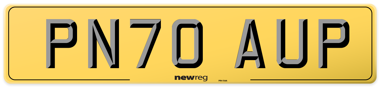 PN70 AUP Rear Number Plate