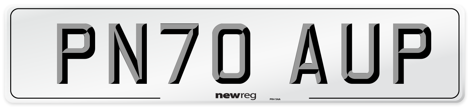 PN70 AUP Front Number Plate