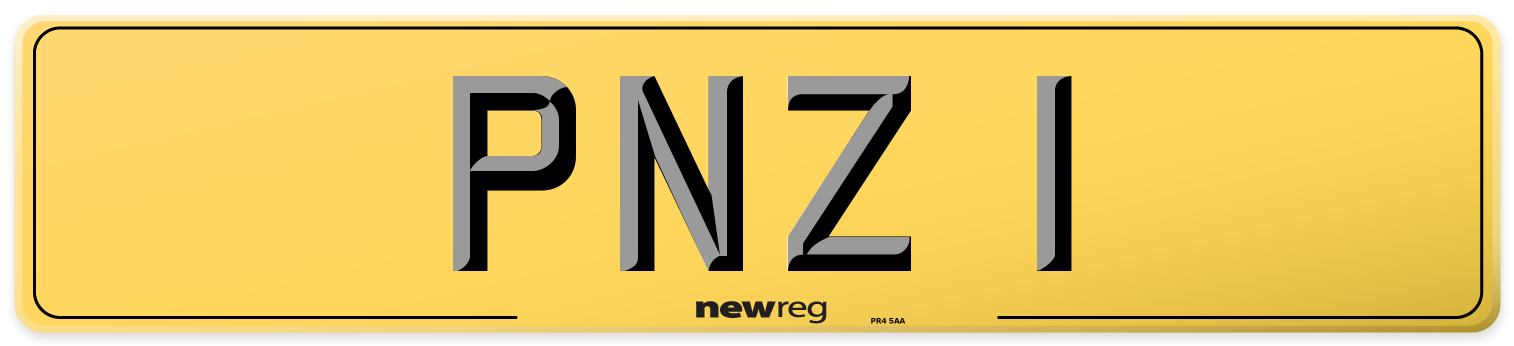 PNZ 1 Rear Number Plate