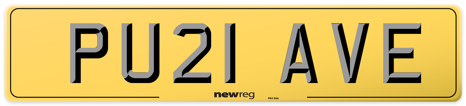 PU21 AVE Rear Number Plate