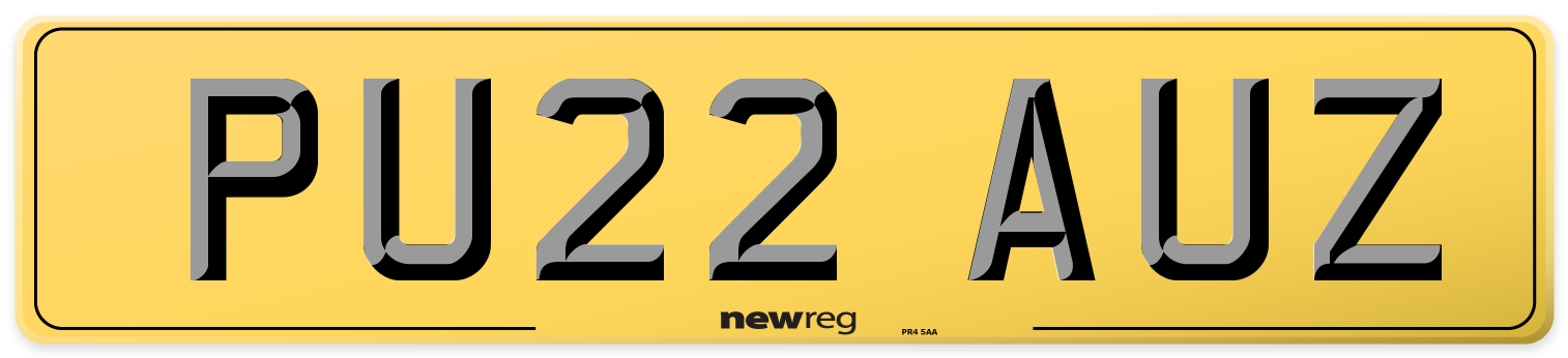 PU22 AUZ Rear Number Plate