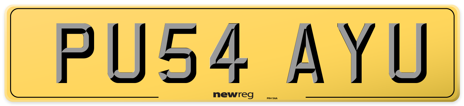 PU54 AYU Rear Number Plate