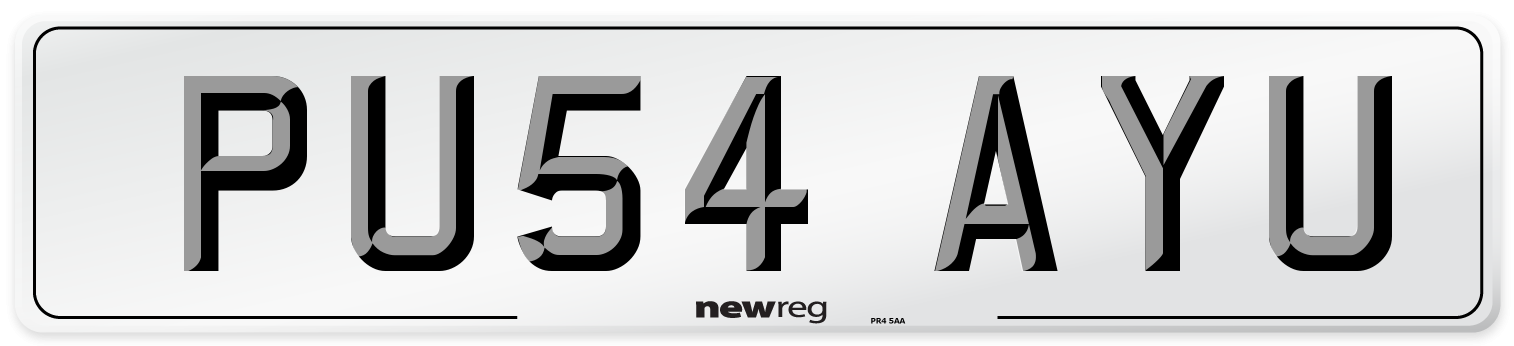 PU54 AYU Front Number Plate