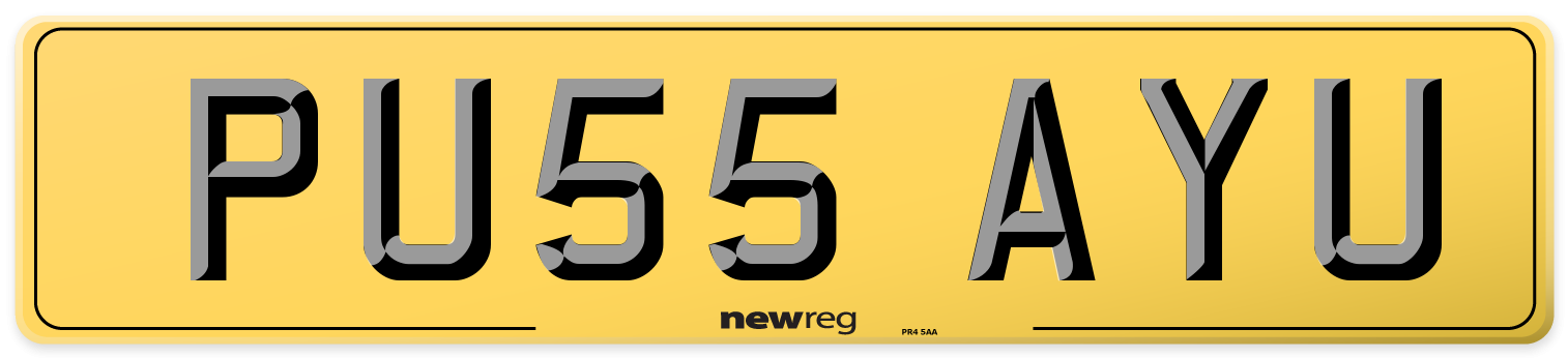 PU55 AYU Rear Number Plate