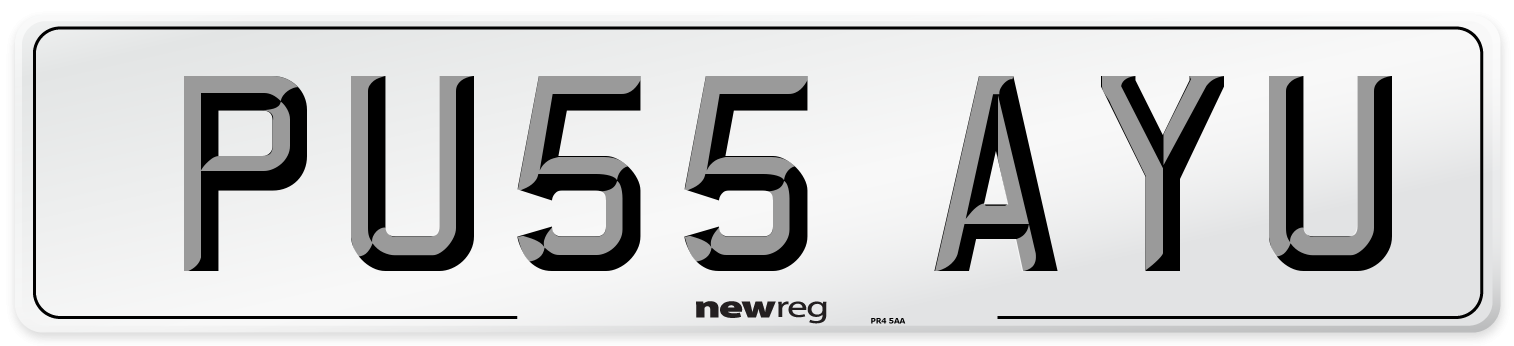 PU55 AYU Front Number Plate