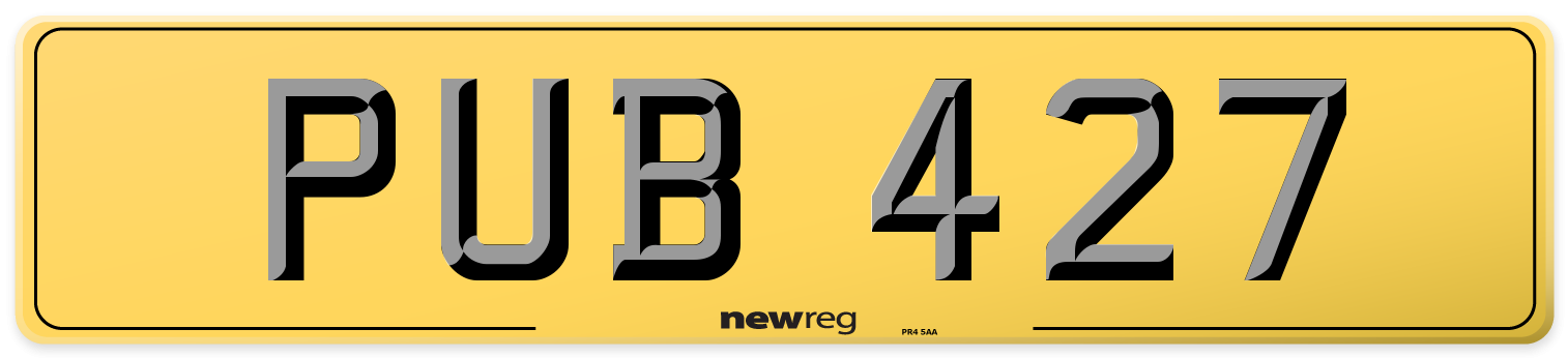 PUB 427 Rear Number Plate