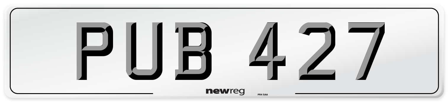 PUB 427 Front Number Plate