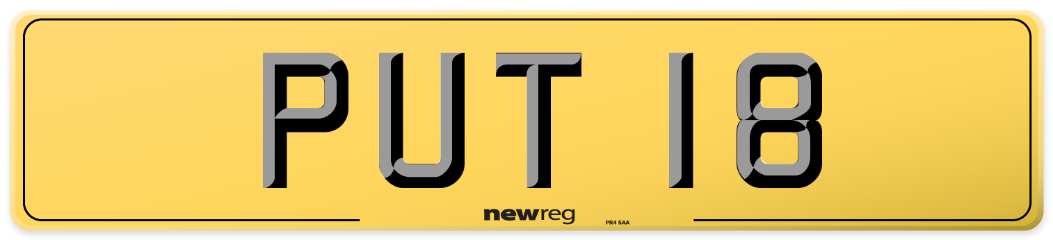 PUT 18 Rear Number Plate
