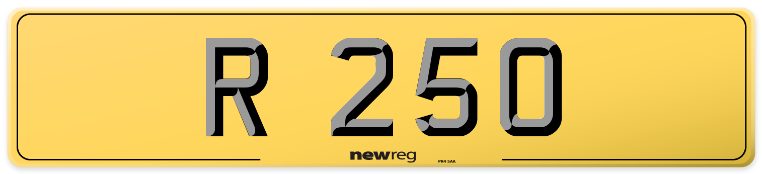 R 250 Rear Number Plate