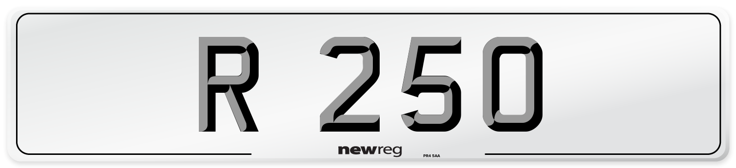 R 250 Front Number Plate