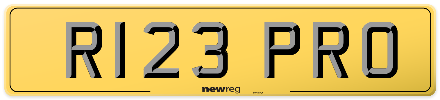 R123 PRO Rear Number Plate