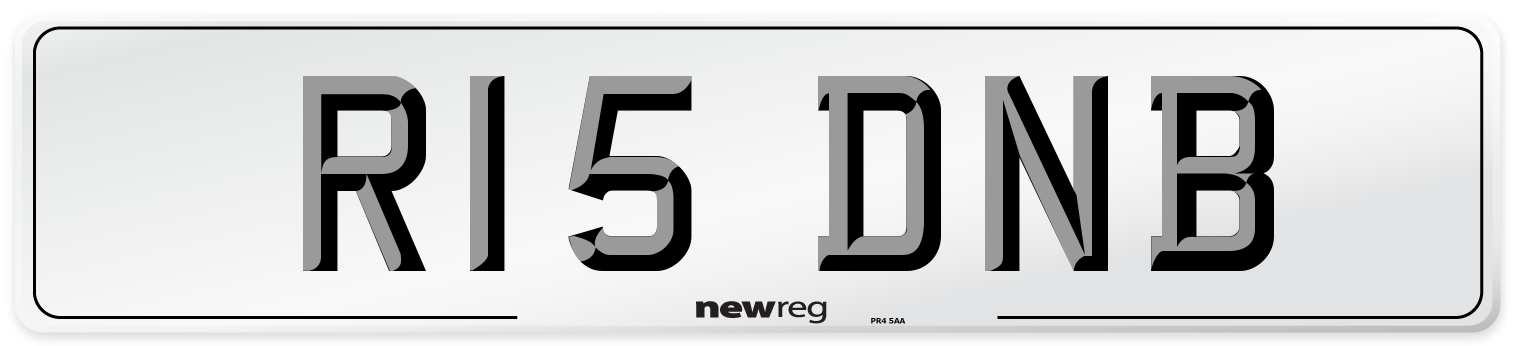 R15 DNB Front Number Plate