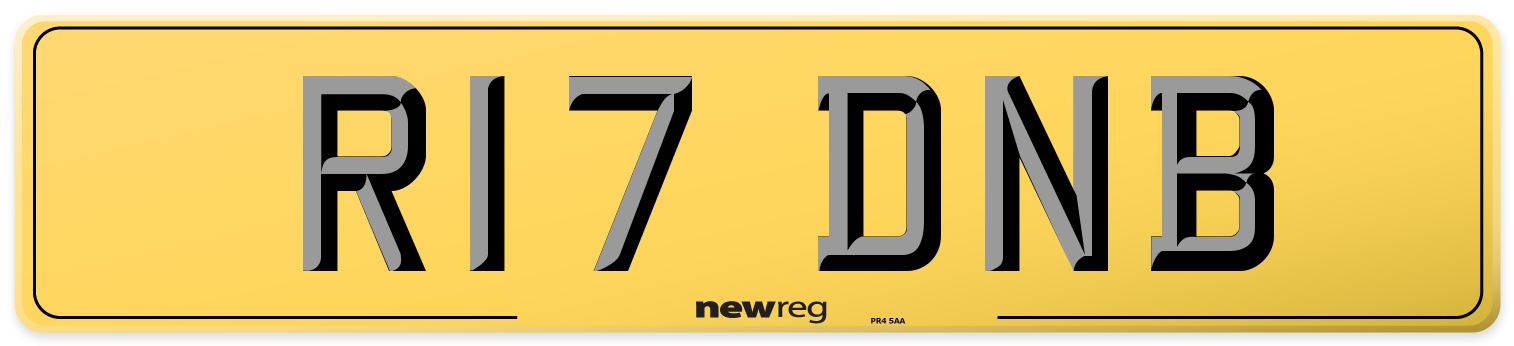 R17 DNB Rear Number Plate