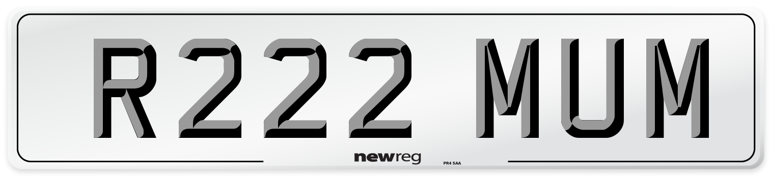 R222 MUM Front Number Plate