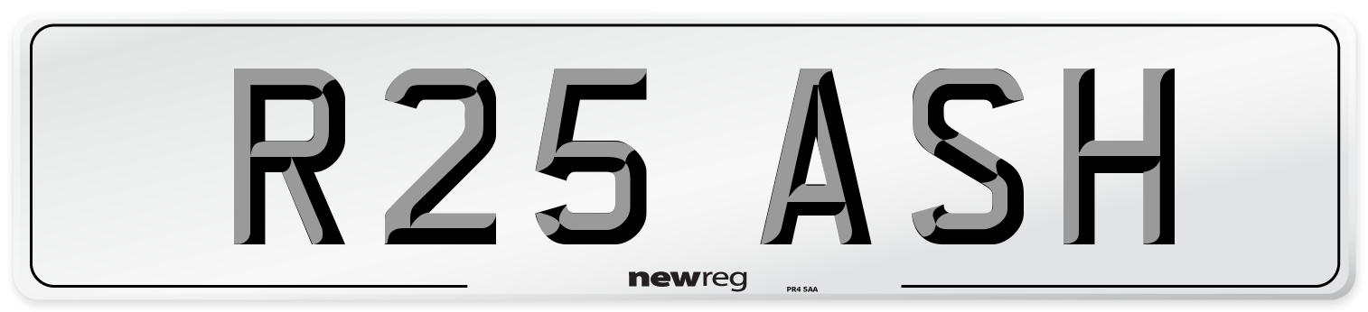 R25 ASH Front Number Plate