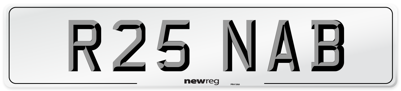 R25 NAB Front Number Plate