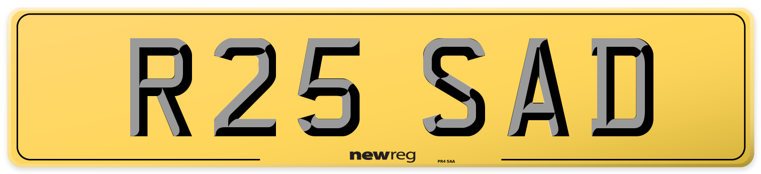 R25 SAD Rear Number Plate